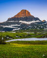 Summer at Logan Pass (Vertical)