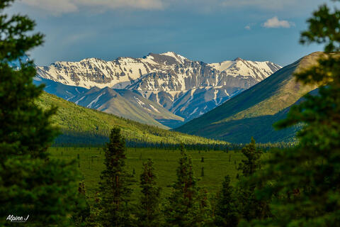 Landscape in Denali National Park in Alaska.