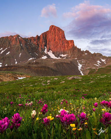 Wildflowers below Wetterhorn Peak in Colorado.
