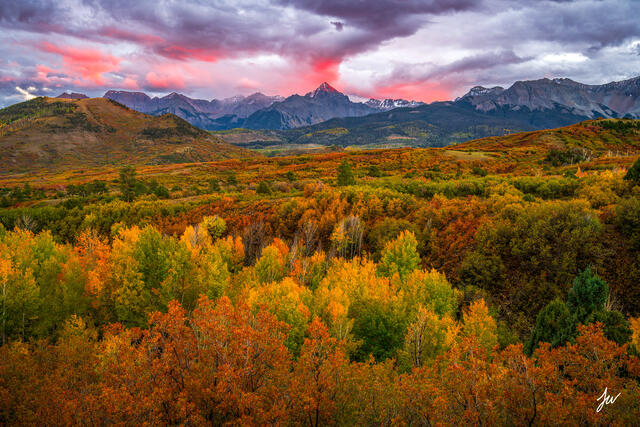 Dallas Divide in Colorado at sunset with golden autumn aspens and the San Juan Mountains.