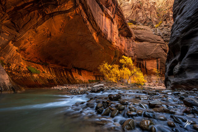 The Narrows in Zion National Park with steep sandstone walls rising above the Virgin River.
