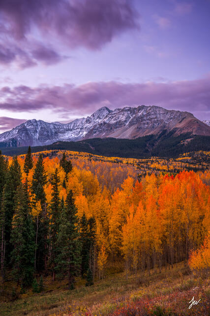 Wilson Peak at sunrise in autumn, near Telluride, Colorado, with golden aspens in the foreground.
