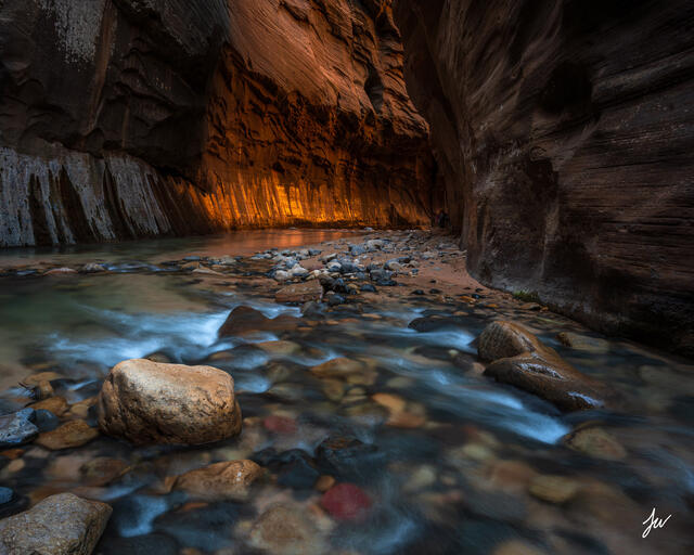 Soft canyon light illuminating the sandstone walls of the Narrows in Zion National Park.