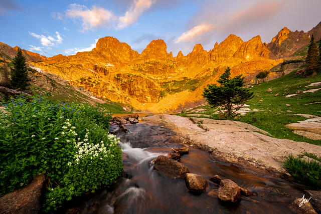Gore Range sunrise with wildflowers.