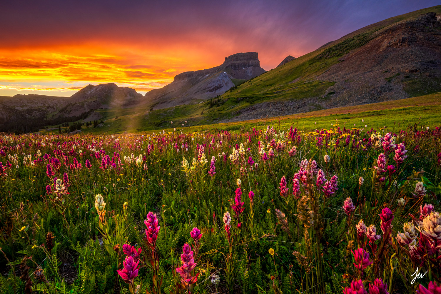 San Juan Sunset with Colorado Wildflowers.
