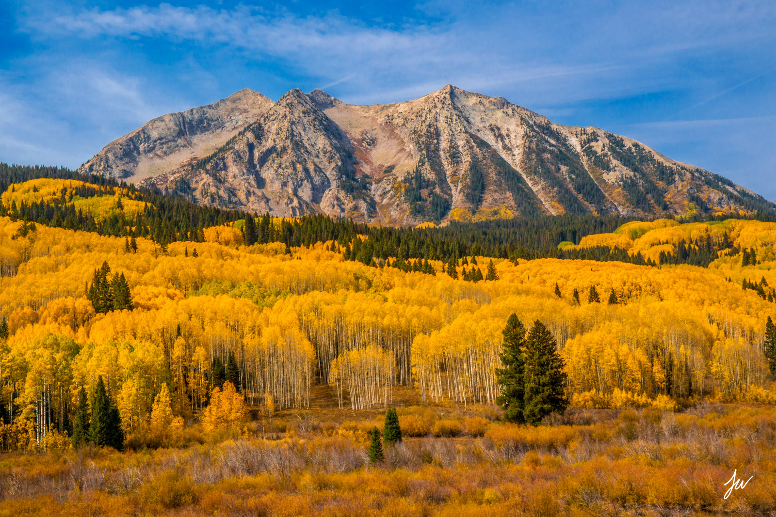 Fall color in Crested Butte, Colorado.
