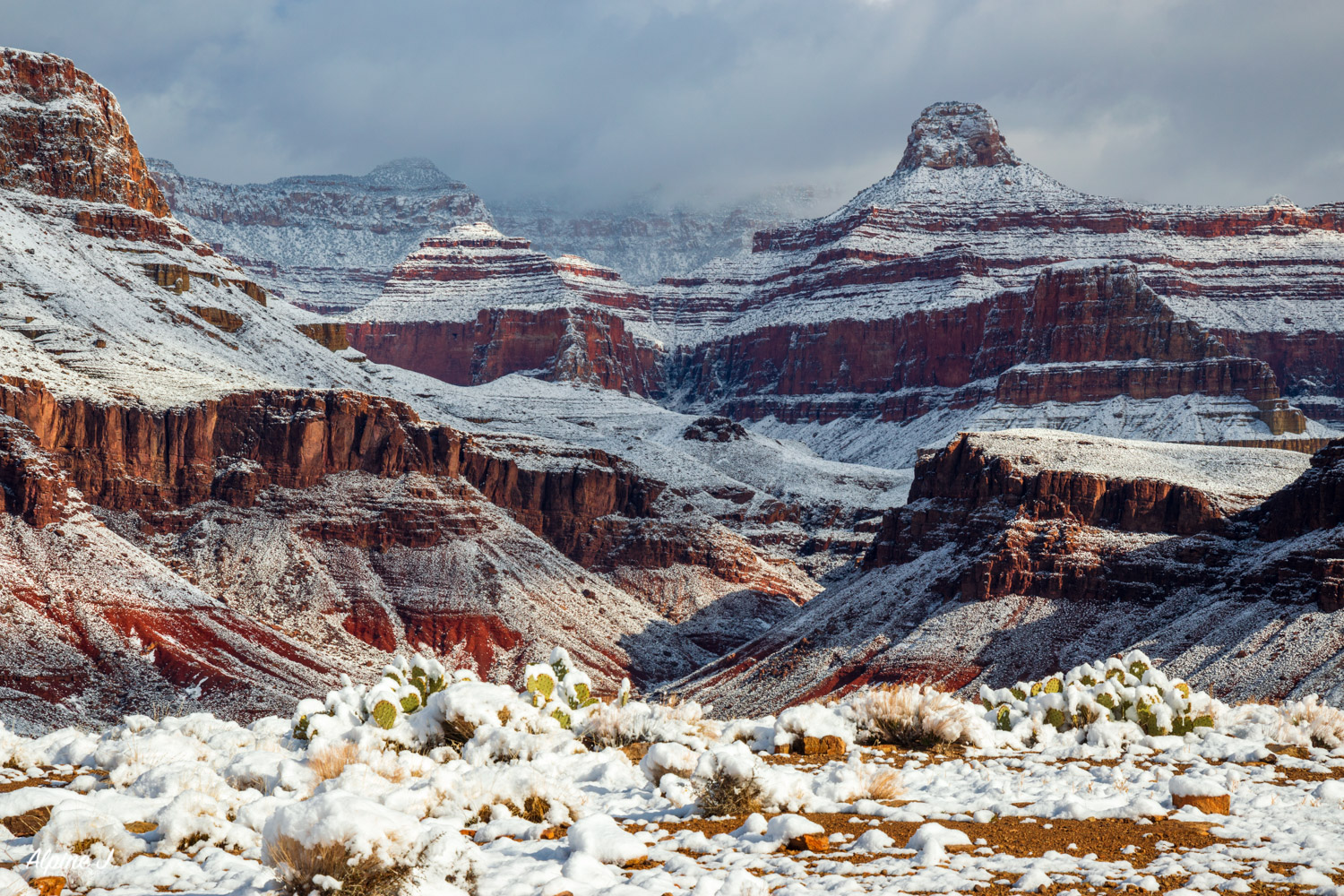 Snowy landscapes in the Grand Canyon.