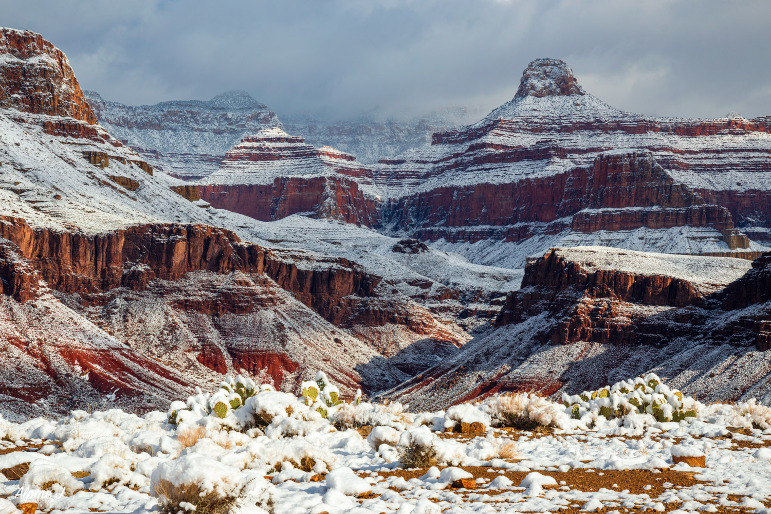 Snowy landscapes in the Grand Canyon.