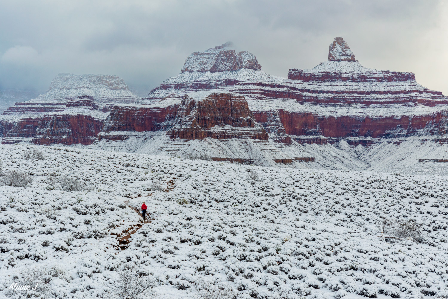 Backpacking in the Grand Canyon.