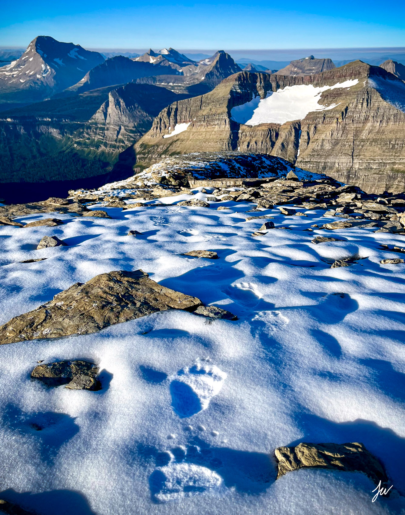 Grizzly bear tracks in snow in Glacier Park. 