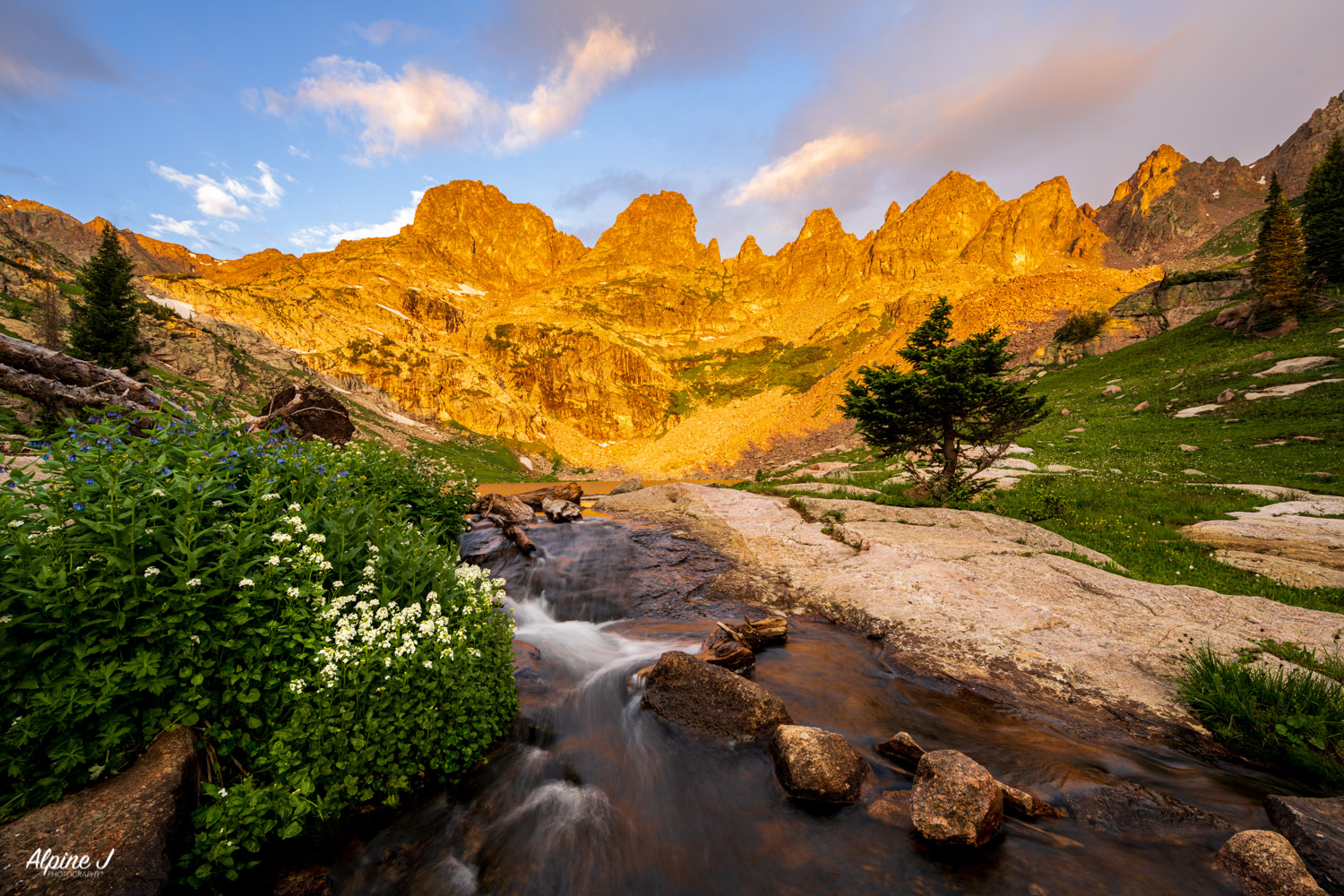 Gore Range sunrise with wildflowers.