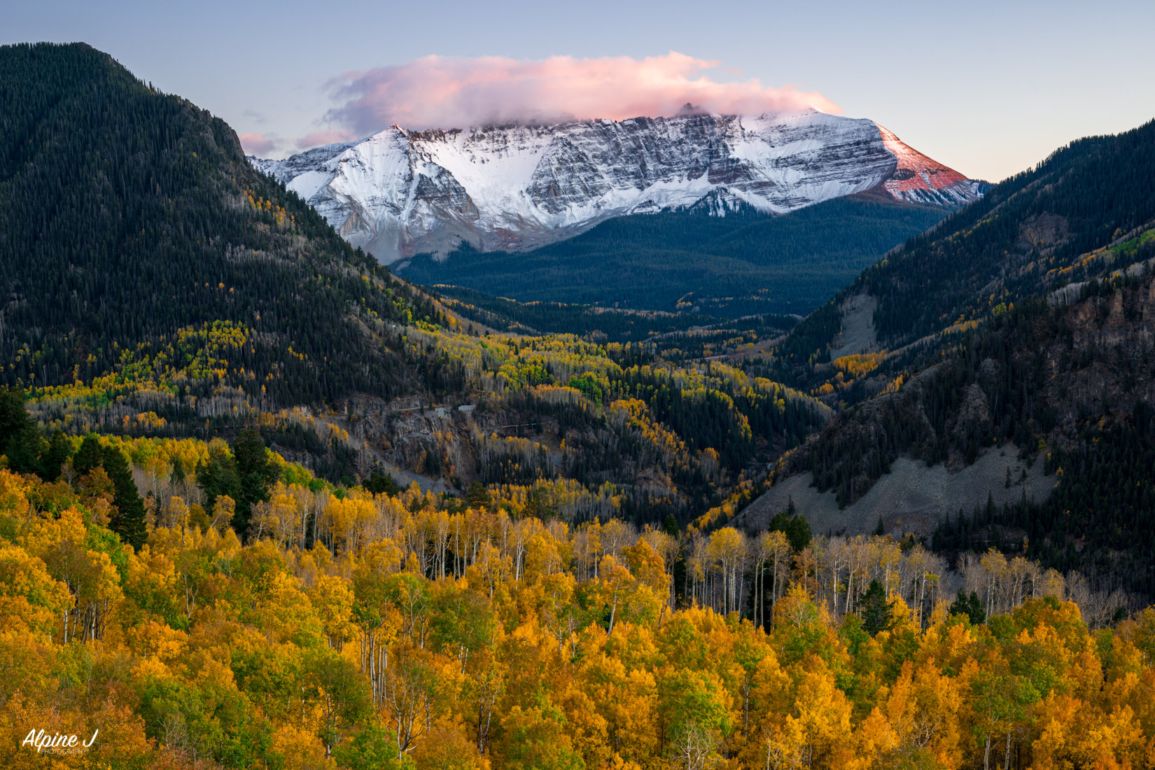 Fall color near Telluride, Colorado.